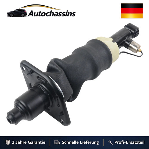 Hinten rechts federbein - hinten,