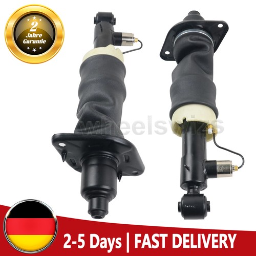 Paar hinten federbein - paar,